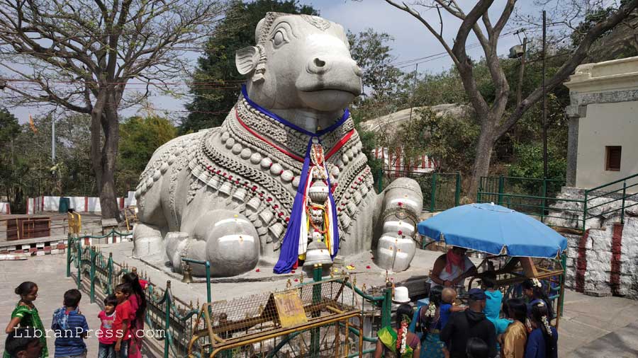 Nandi at Chamundi Hills