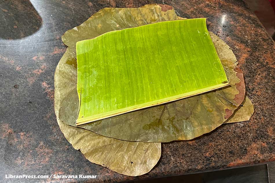 Plantain Leaf